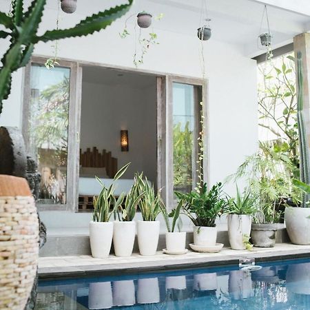 Cat Cow Yoga Villa Canggu  Exterior photo